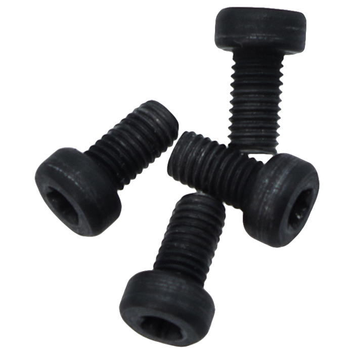 Rim/Edge Torx Head Screw for 10/22 Factory Picatinny rail