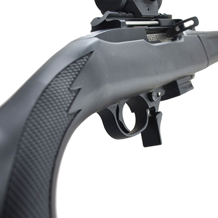 Rim/Edge Fireswitch Extended Magazine Release 10/22