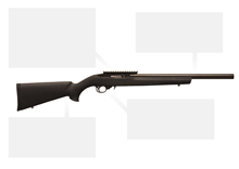 Ruger 10/22 Custom